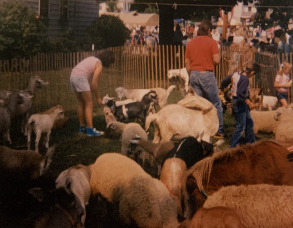 Feeding the goats at the festival