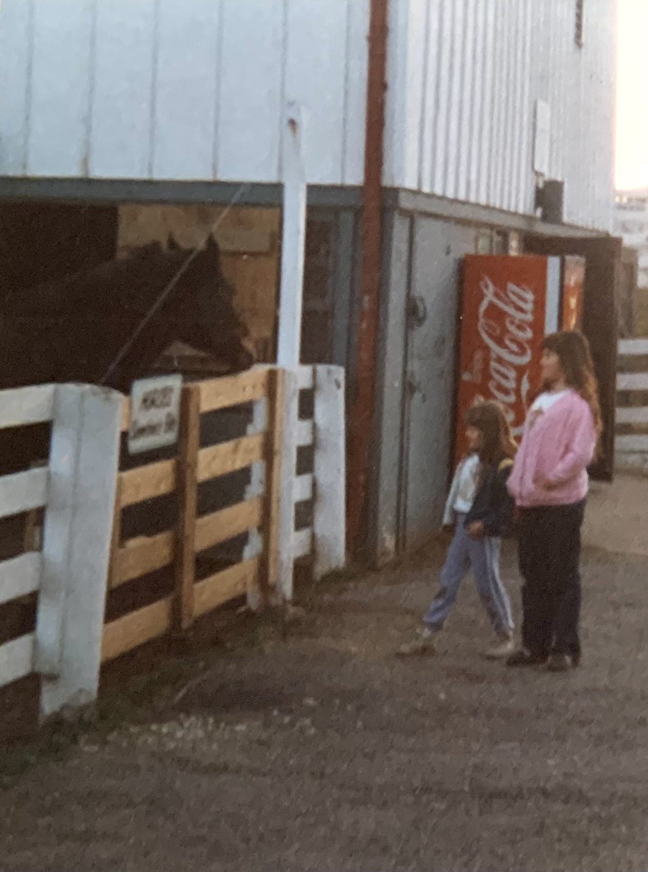 My younger sister and I visiting a horse at a local farm in the 80's. 
